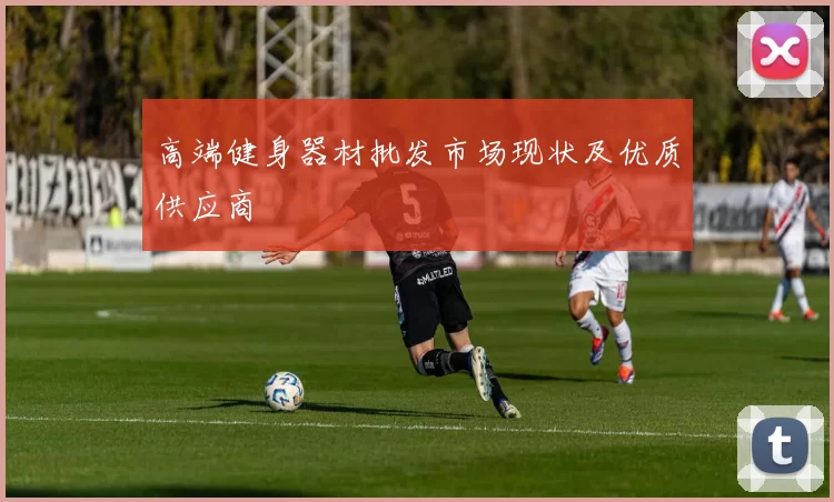高端健身器材批发市场现状及优质供应商