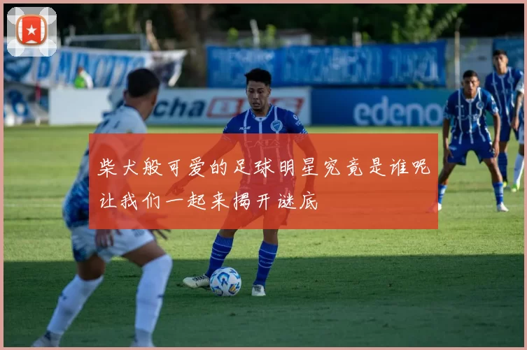 柴犬般可爱的足球明星究竟是谁呢让我们一起来揭开谜底