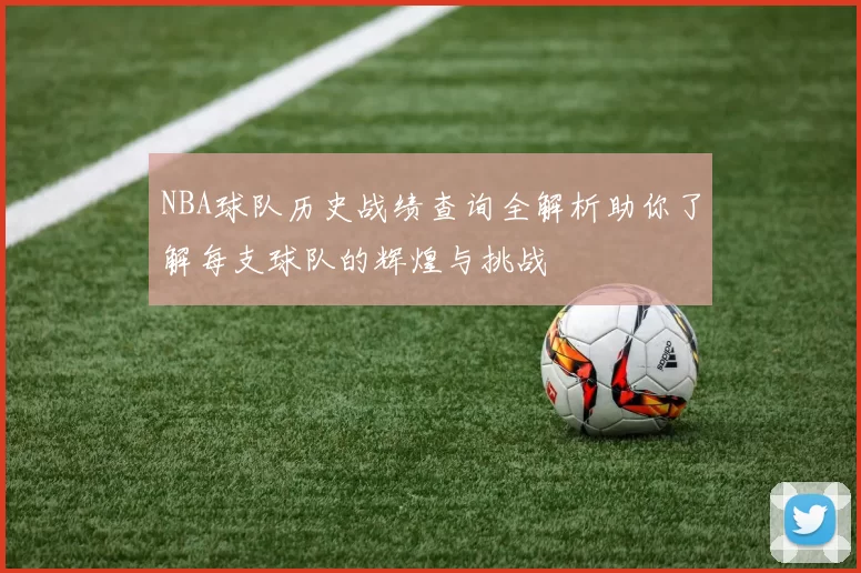 NBA球队历史战绩查询全解析助你了解每支球队的辉煌与挑战