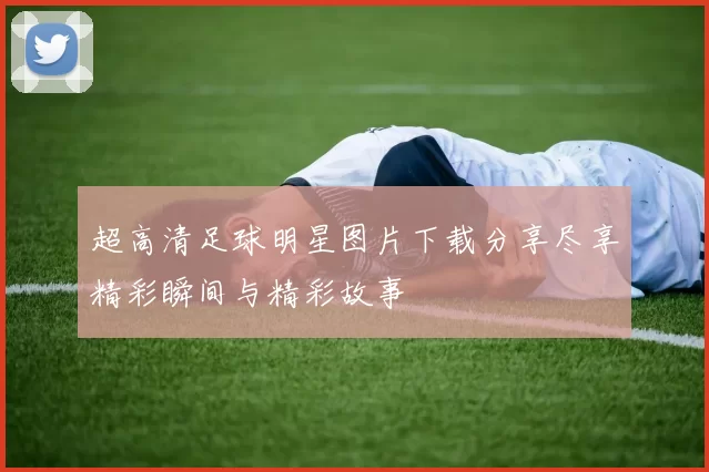 超高清足球明星图片下载分享尽享精彩瞬间与精彩故事