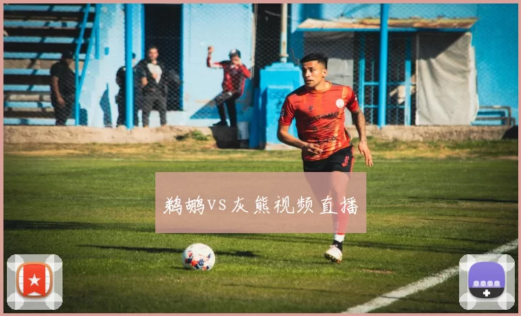 鹈鹕vs灰熊视频直播