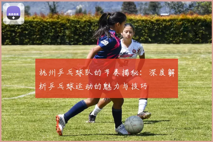 杭州乒乓球队的节奏揭秘：深度解析乒乓球运动的魅力与技巧