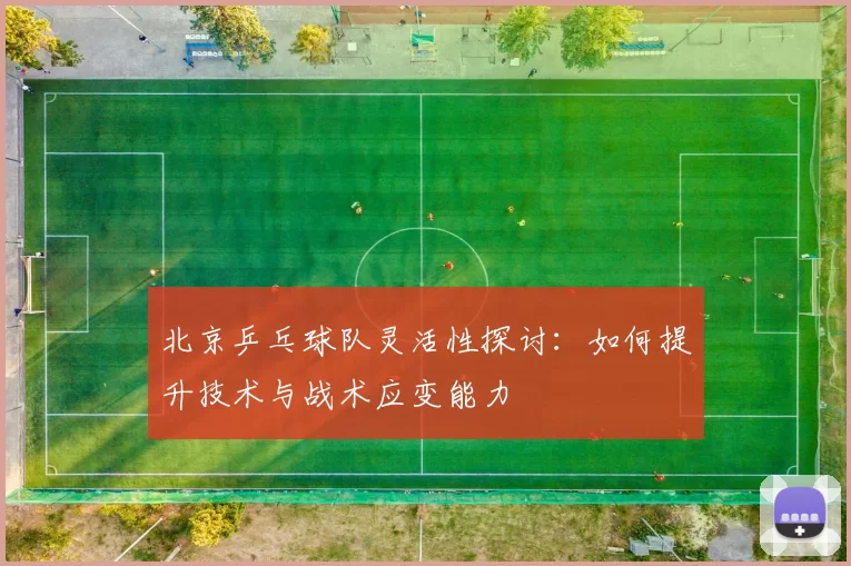 北京乒乓球队灵活性探讨：如何提升技术与战术应变能力