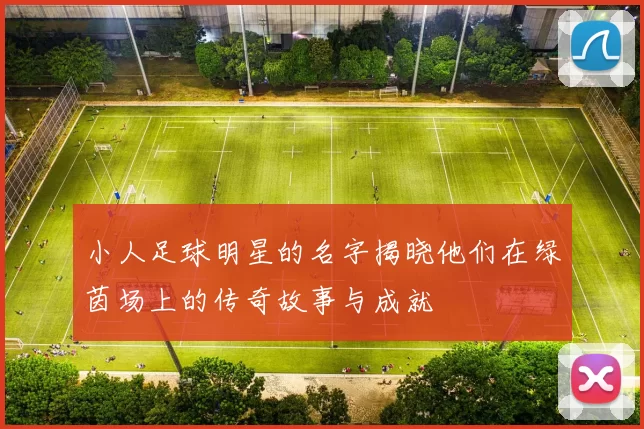 小人足球明星的名字揭晓他们在绿茵场上的传奇故事与成就