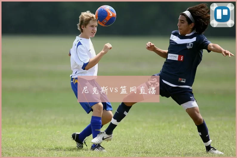 尼克斯vs篮网直播