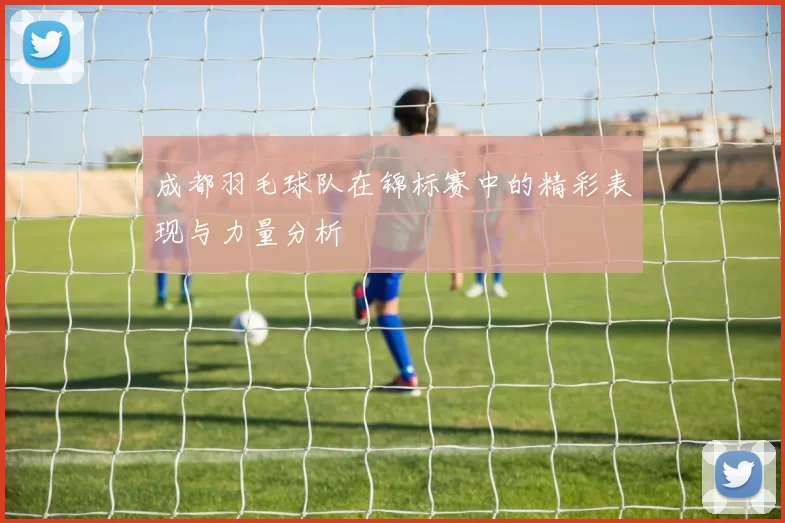 成都羽毛球队在锦标赛中的精彩表现与力量分析