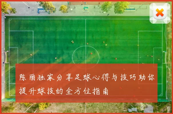 陈丽独家分享足球心得与技巧助你提升球技的全方位指南