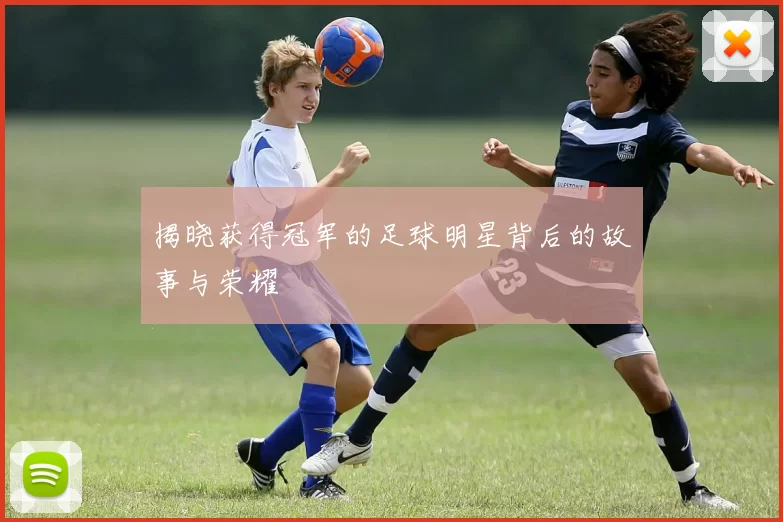 揭晓获得冠军的足球明星背后的故事与荣耀