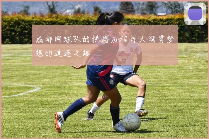 成都网球队的拼搏历程与大满贯梦想的追逐之路