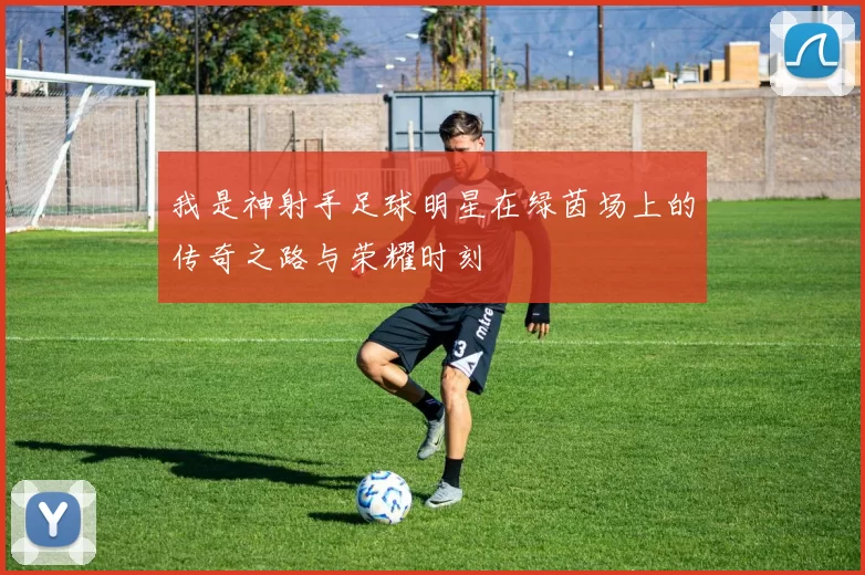 我是神射手足球明星在绿茵场上的传奇之路与荣耀时刻