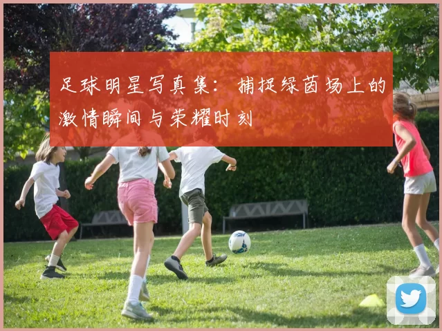 足球明星写真集：捕捉绿茵场上的激情瞬间与荣耀时刻