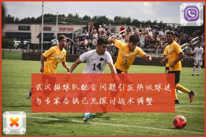 武汉排球队配合问题引发热议球迷与专家各执己见探讨战术调整