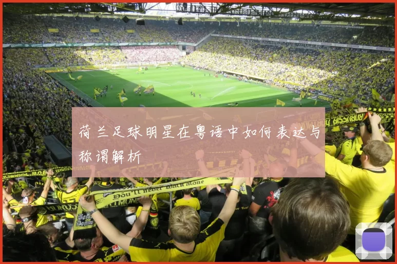 荷兰足球明星在粤语中如何表达与称谓解析