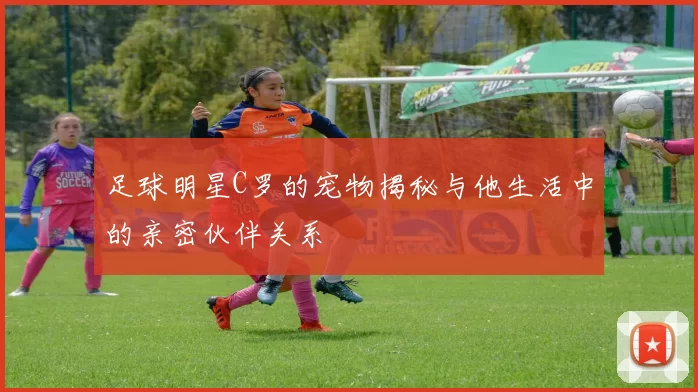 足球明星C罗的宠物揭秘与他生活中的亲密伙伴关系