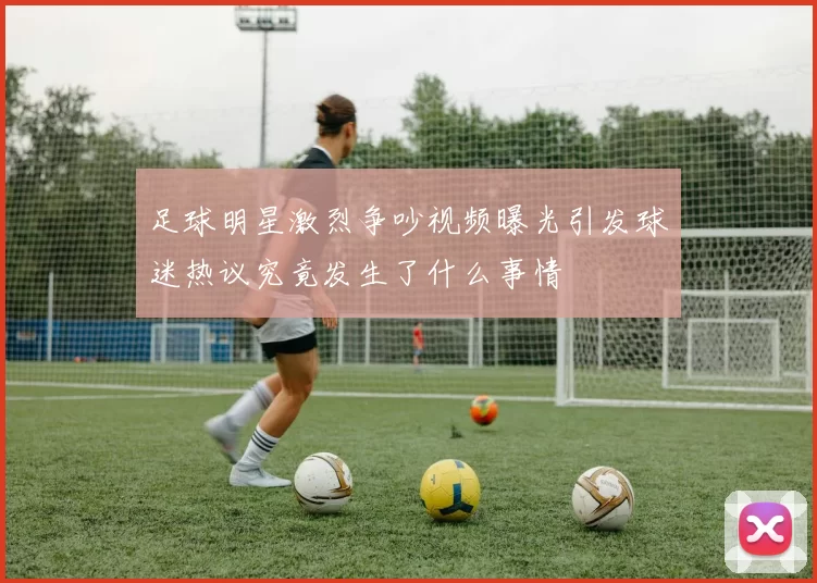 足球明星激烈争吵视频曝光引发球迷热议究竟发生了什么事情