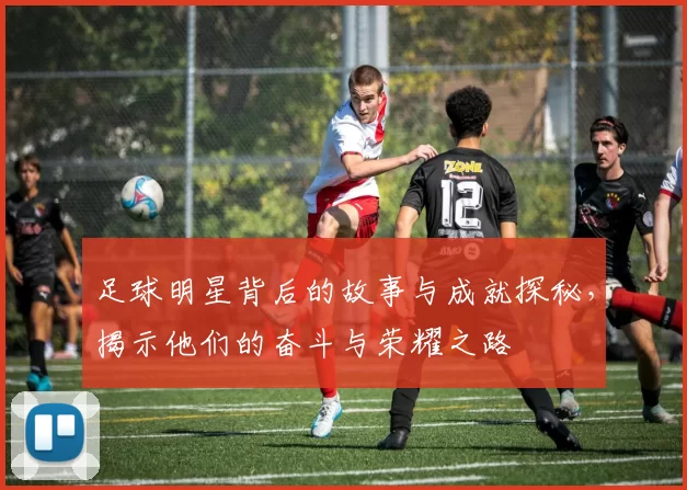 足球明星背后的故事与成就探秘，揭示他们的奋斗与荣耀之路