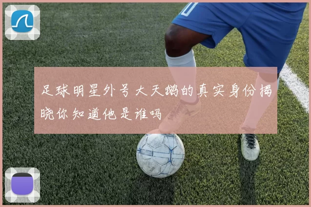足球明星外号大天鹅的真实身份揭晓你知道他是谁吗
