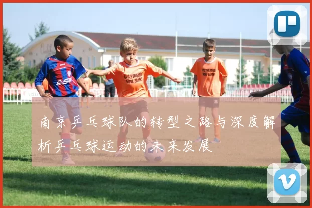 南京乒乓球队的转型之路与深度解析乒乓球运动的未来发展